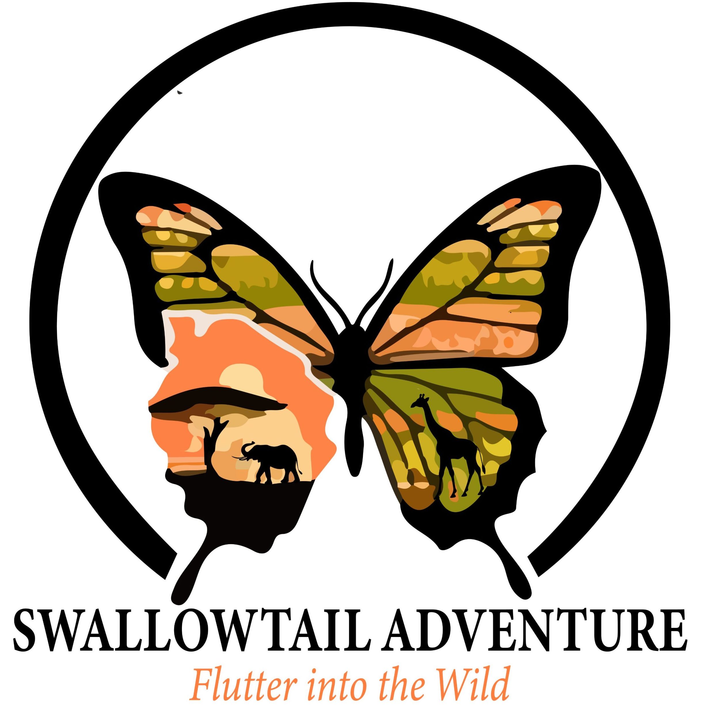 SwallowtailAdventure