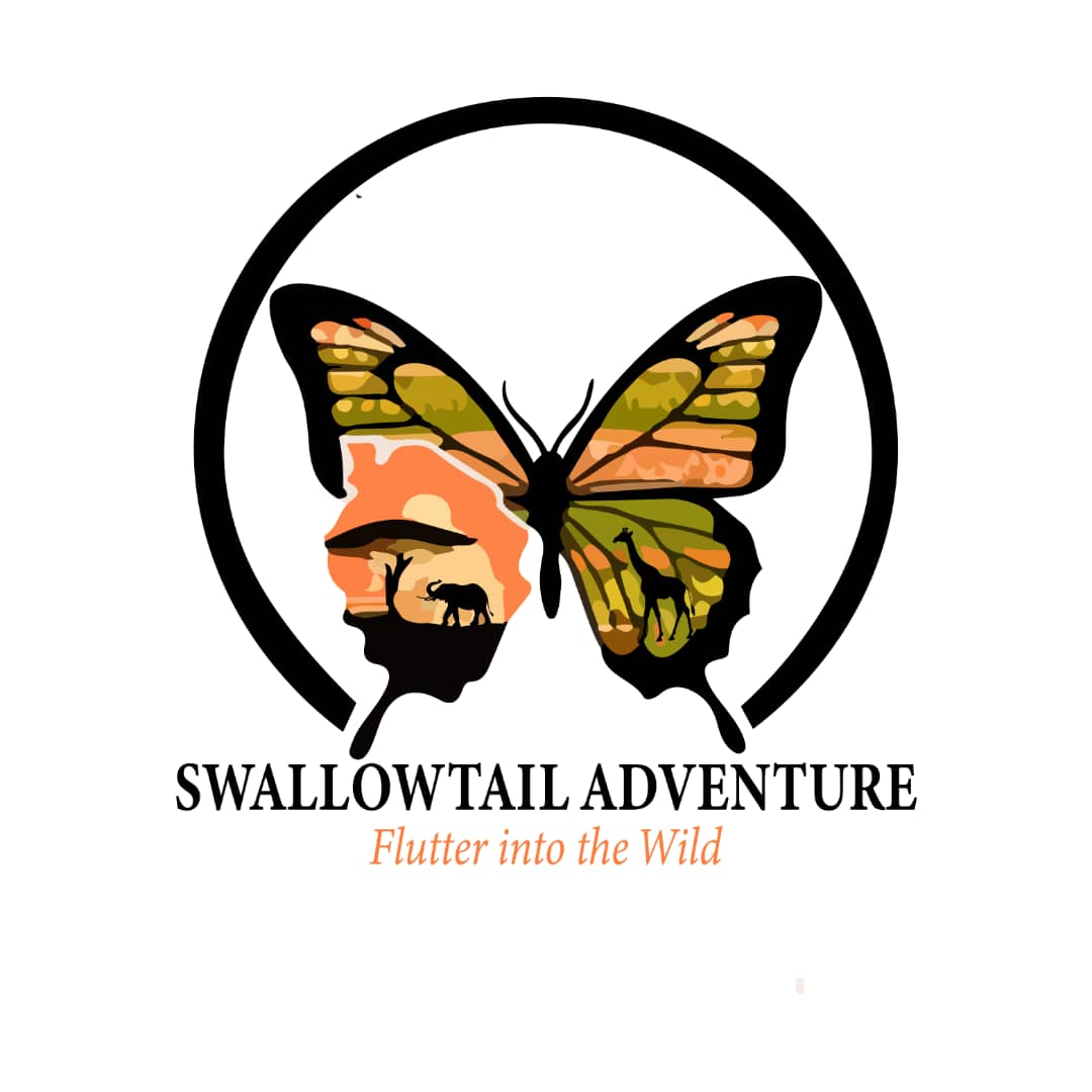 Swallowtail Adventure