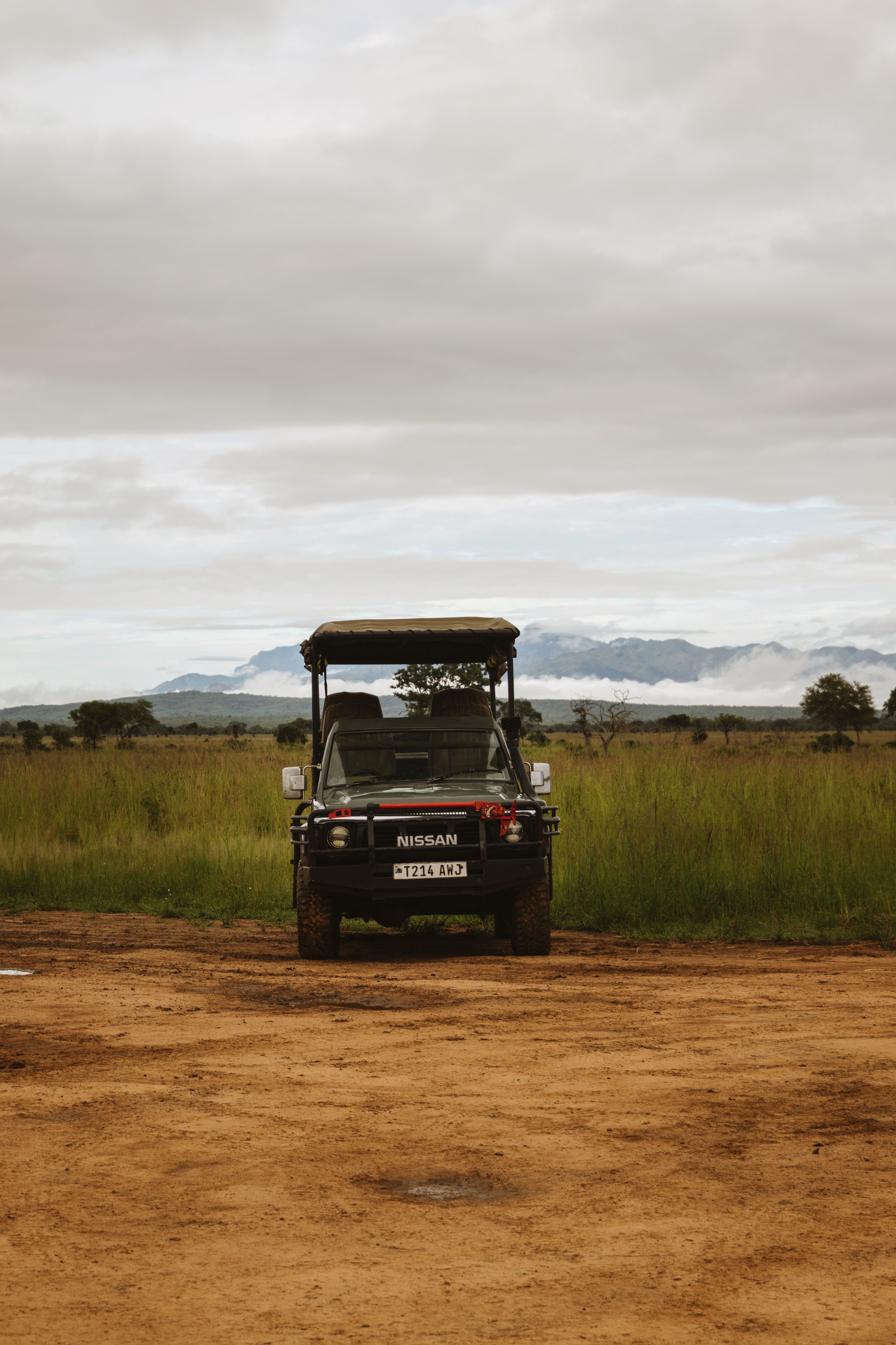 pexels-leefinvrede-37087488 (1)